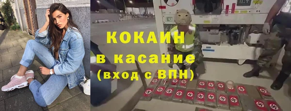 ALPHA PVP Бородино