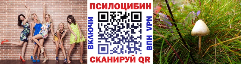где найти   Искитим  Псилоцибиновые грибы мухоморы 